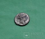 Денарий. C Considius Paetus Denarius. 46 BC., фото №2