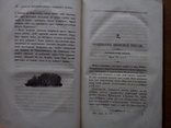 Старинная книга 1838 г. С иллюстрациями, фото №5