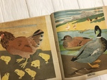1938 Детская книга, фото №4
