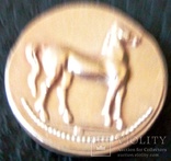Золота монетка давньої Греції. Афіна і коник. Позолота999, новодєл-копія, фото №3