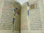Реймска евангелія в 2 кнігах- факсимильное издание, фото №13