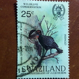 Свазиленд, фото №2