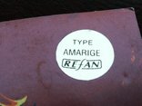 Amarige, фото №2