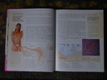 Книга о зачатии беременности ., photo number 4