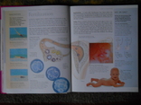 Книга о зачатии беременности ., фото №5