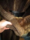 Большая шикарная женская натуральная бобровая шуба. Германия. Лот 690, фото №7