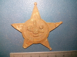Gallipoli Star (Галлиполийская звезда) .Османская империя., фото №3