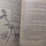 Попов "Лекарственные растения в народной медицине" 1969р., фото №5