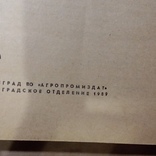 Бексеев "Выращивание ранних томатов" 1989р., фото №3