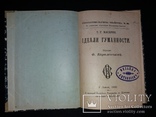1902 Прижиттєвий Томаш Масарик. Ідеали гуманности (наклад 1000 прим.), фото №2