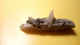 Кварц Сросток под разными углами с приращенными мелкими кристаллами, фото №3