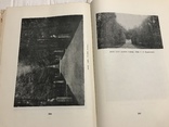 1937 Архитектура Архангельское Подмосковная усадьба, фото №11