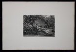 Гравюра. Дж. Констебл - Лукас. "Раненый олень". До 1840 года. (42,8 на 29 см). Оригинал., фото №8