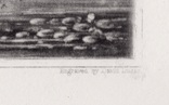 Гравюра. Дж. Констебл - Лукас. "Река Стаур". До 1840 года. (42,8 на 29 см). Оригинал., фото №7