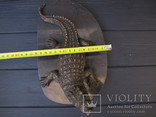 Крокодил. Бронза. Статуэтка. 4,5 кг, фото №9
