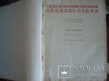 Сельскохозяйственная энциклопедия 1т.1937г.В.П.Милютин, фото №5