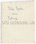 Одесса Оккупация 1943 Одесский Оперный театр, фото №3