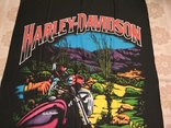 18. Баннер Harley-Davidson, 136x100см, новый, numer zdjęcia 3