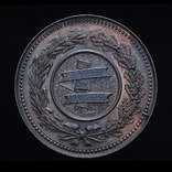 Медаль За Заслуги 1865, Сельскохозяйственное Общество Штирии, Австрия 50мм, фото №3