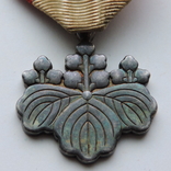 Знак ордена Восходящего солнца VIII степени (медаль белой павлонии), фото №3