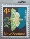 Нова Зеландія. Метелик, фото №2