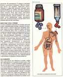 Детская энциклопедия здоровья.1987 г., фото №6