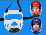 Шлем для карате тхэквондо единоборства с пластиковой маской, photo number 4