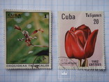 5 великих марок Куби., фото №5