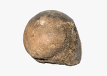 Головка стегнової кістки мамута (мамонта) четвертинного періоду, фото №8