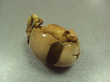Фигурка мышка в тыкве кость бивень мамонта, фото №2