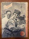 Нацистские военные журналы 3 рейх. Signal, 1942 года, 2шт, фото №2