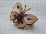 Brooch. moth. USSR, photo number 2