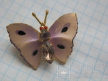 Brooch. moth. USSR, photo number 4