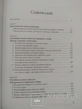 Евсеева. Аналойные иконы в Византии и Древней Руси, фото №6