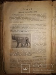 История Греции и Рима. 1918г., фото №11