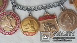 Жетон медаль для собак 16 штук, фото №2
