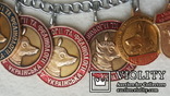 Жетон медаль для собак 16 штук, фото №6