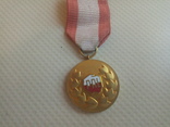 Медаль "Заслуженный работник", фото №2