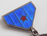 Монгольская медаль дружба, фото №7