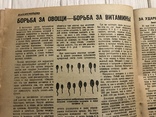 1932 Против деревенской бабки: Гигиена и здоровье, фото №12