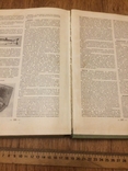 Краткая энциклопедия домашнего хозяйства 1959, фото №12
