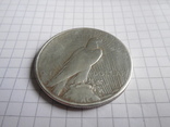 1 доллар 1923г США, фото №6