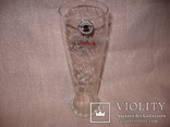 Коллекционный пивной бокал  Vintage Paulaner Munchen Beer Glass, фото №3