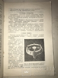 1949 Газ в Быту и идеальное тополево, фото №5