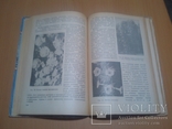  тир. 10000 Цветоводство  1954 год, фото №12