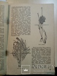 Колгоспне Блжільництво Пчеловодство 1941 год № 5. 1937 г. № 4, фото №5