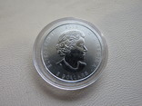 Канада 2015 год 5 долларов серебро 9999 Сова, фото №3