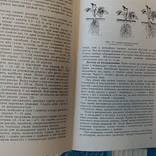 Довідник садівника початківця 1987р., фото №7