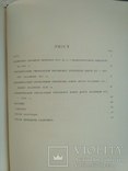 Орнаментальне оформлення української рукописної книги 1960 р., фото №9