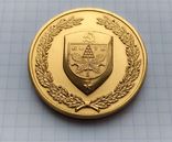 Сувенирная медаль с гербом Киева. Город - Герой., фото №3